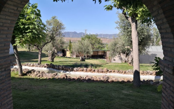 Venta - Hoteles -
Granada - Nigüelas