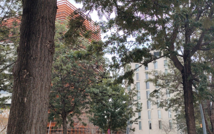 Traspaso - Bar Restaurante -
Barcelona - Poblenou