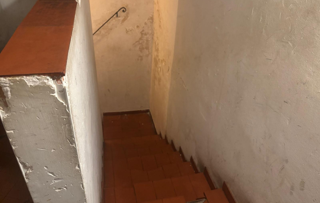 Transfer - Bar Restaurante -
Barcelona - Eixample