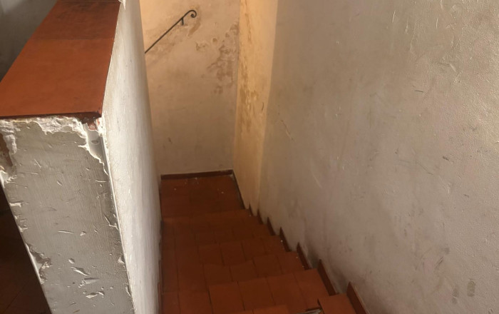 Transfer - Bar Restaurante -
Barcelona - Eixample