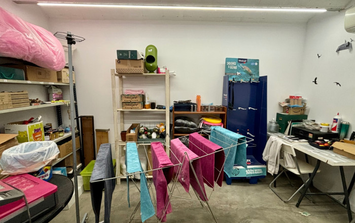 Transfert - Peluquerias y Estetica -
Barcelona - Sarria-Sant Gervasi