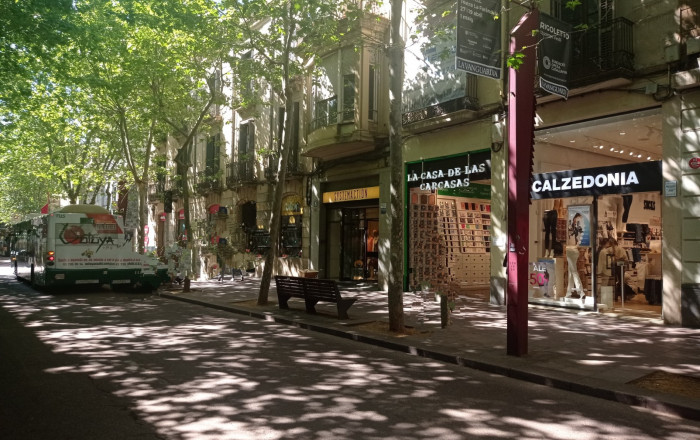 Alquiler - Licencia C2 -
Sabadell