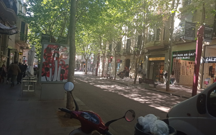 Alquiler - Licencia C2 -
Sabadell