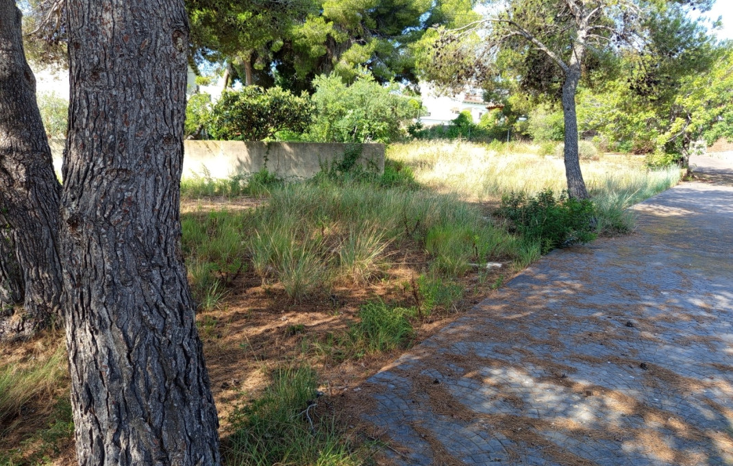 Venta - Naves y solares -
Roda de Barà