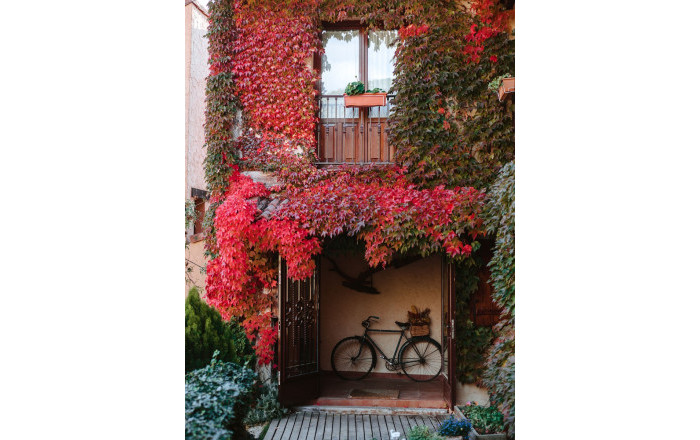 Sale - Apartamentos Turísticos -
Madrid - Lozoya