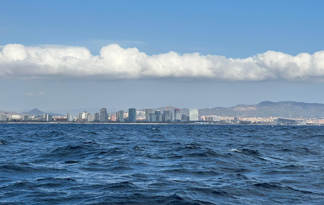 Traspaso - Licencia C2 -
Barcelona - Barceloneta