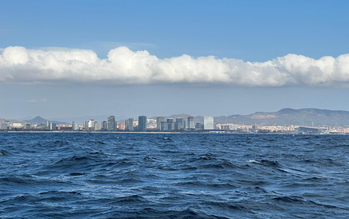 Traspaso - Licencia C2 -
Barcelona - Barceloneta