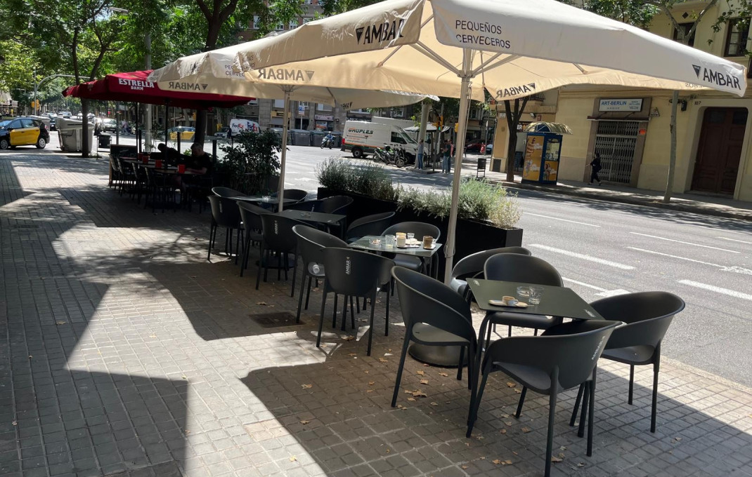 Transfert - Licencia C2 -
Barcelona - Les corts