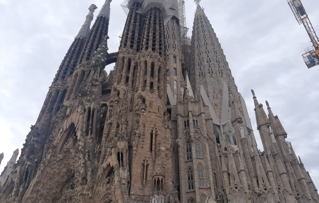 Traspaso - Cocina industrial -
Barcelona - Sagrada familia