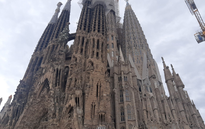 Traspaso - Licencia C2 -
Barcelona - Sagrada familia