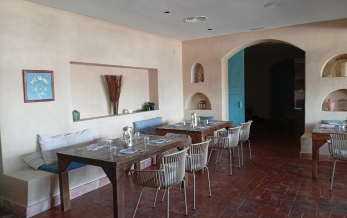 Traspaso - Bar Restaurante -
Mataró