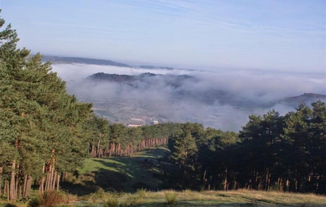 Sale - Hostal -
Burgos - Pradoluengo