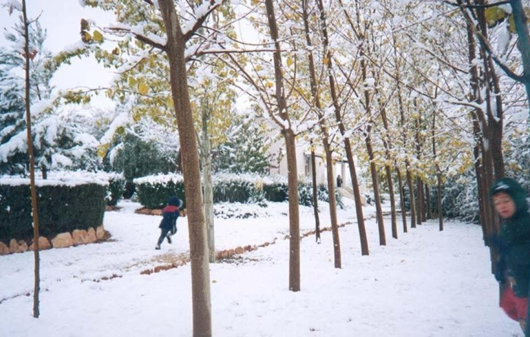 Venta - Complejos turísticos -
Murcia - Caravaca de la Cruz