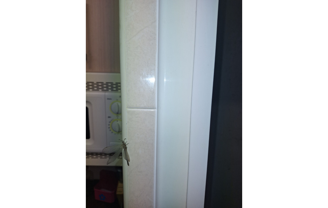 Traspaso - Bar Restaurante -
Barcelona - Eixample Derecho