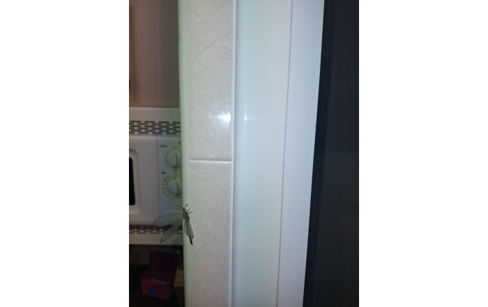 Traspaso - Bar Restaurante -
Barcelona - Eixample Derecho