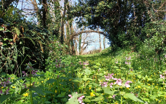 Revente - Hoteles -
Lugo