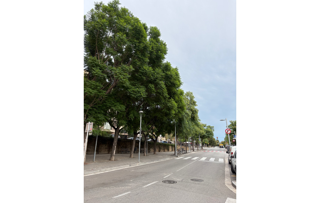 Sale - Licencia C2 -
Sant Just Desvern - Centre