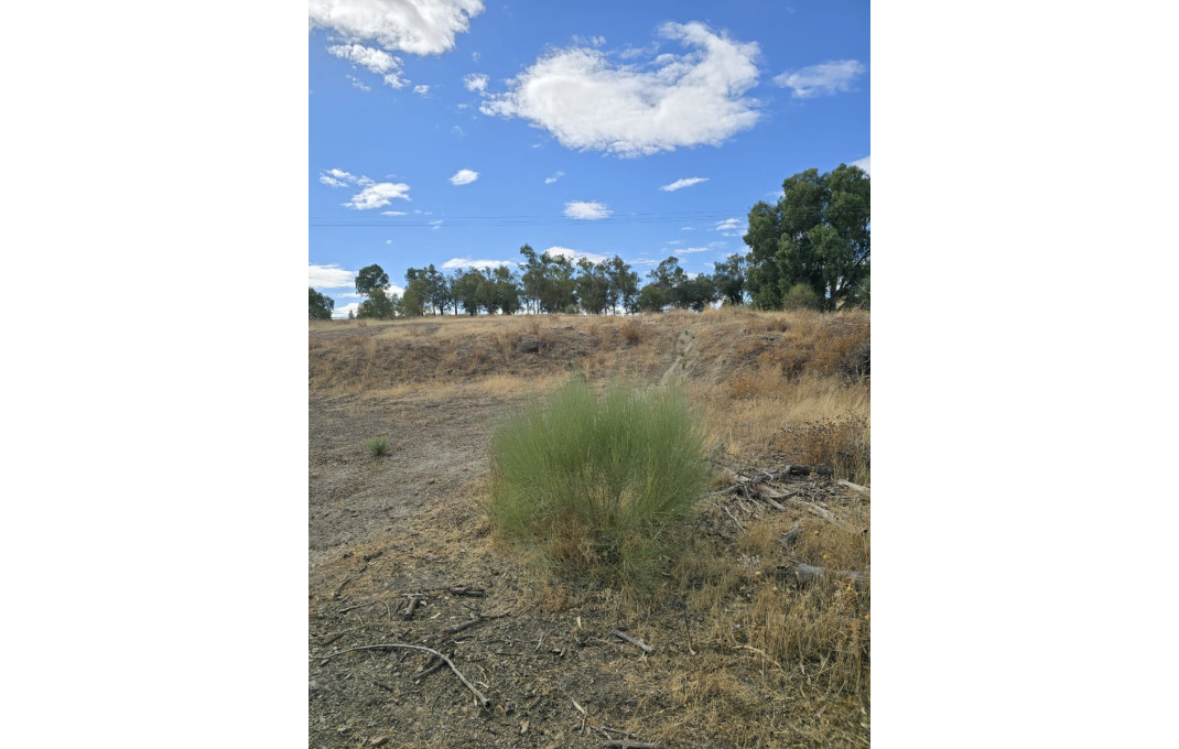 Sale - Hoteles -
Toledo - Lagartera