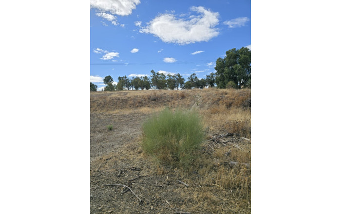 Sale - Hoteles -
Toledo - Lagartera