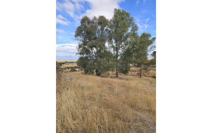 Sale - Hoteles -
Toledo - Lagartera