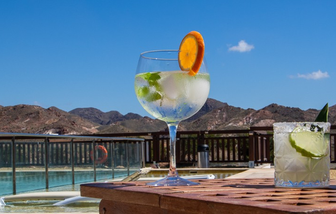 Venta - Hoteles -
Almería - Níjar