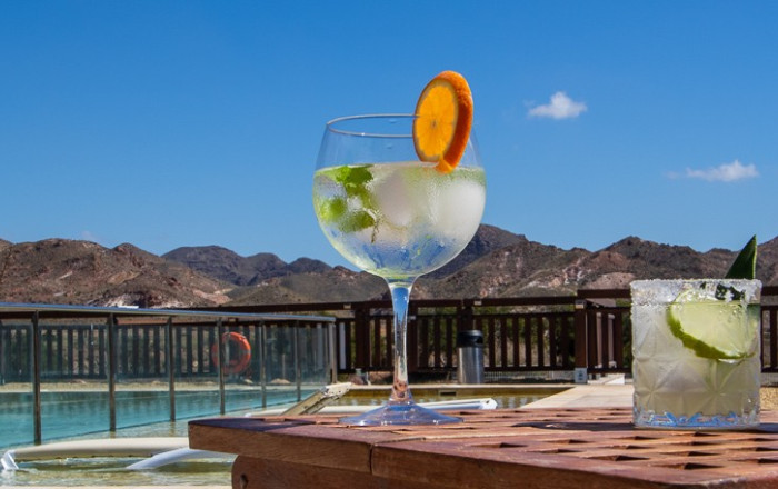 Venta - Hoteles -
Almería - Níjar