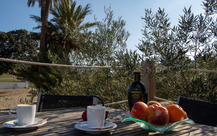 Venta - Hoteles -
Almería - Níjar