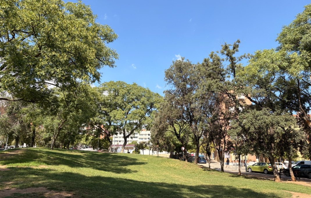 Transfer - Bar Restaurante -
Gavá