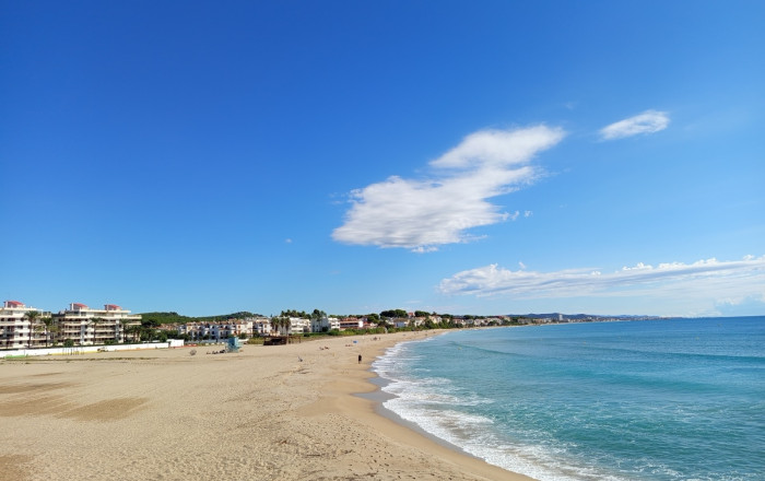 Transfer - Bar Restaurante -
Roda de Barà