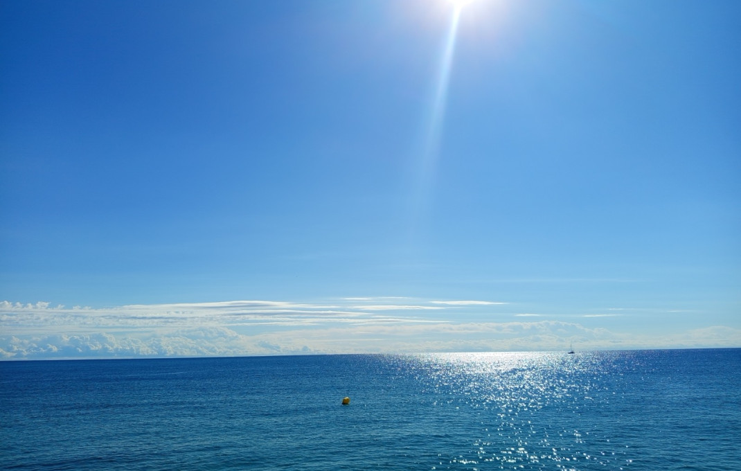 Transfer - Bar Restaurante -
Roda de Barà