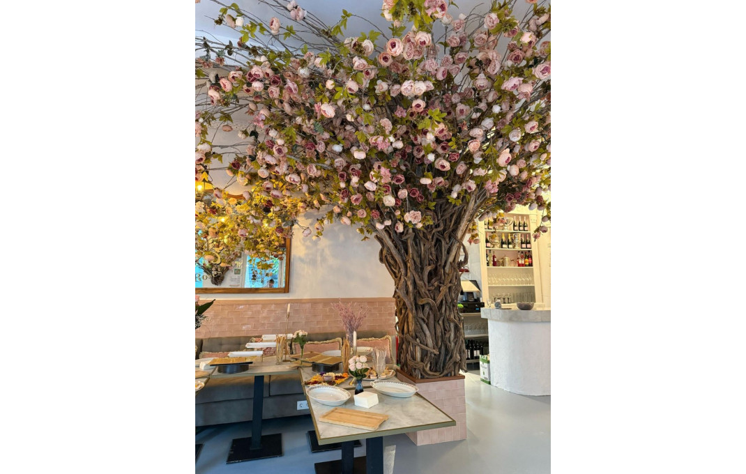 Transfer - Licencia C2 -
Barcelona - Eixample