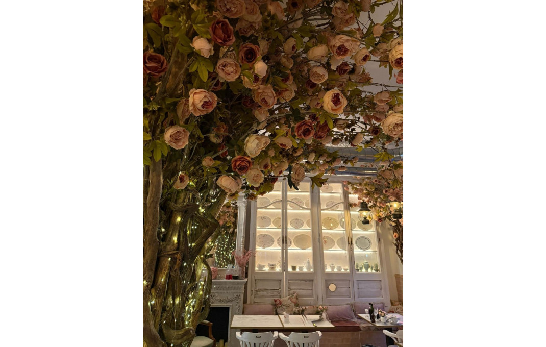 Transfer - Licencia C2 -
Barcelona - Eixample