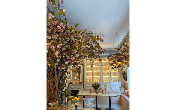 Transfer - Licencia C2 -
Barcelona - Eixample