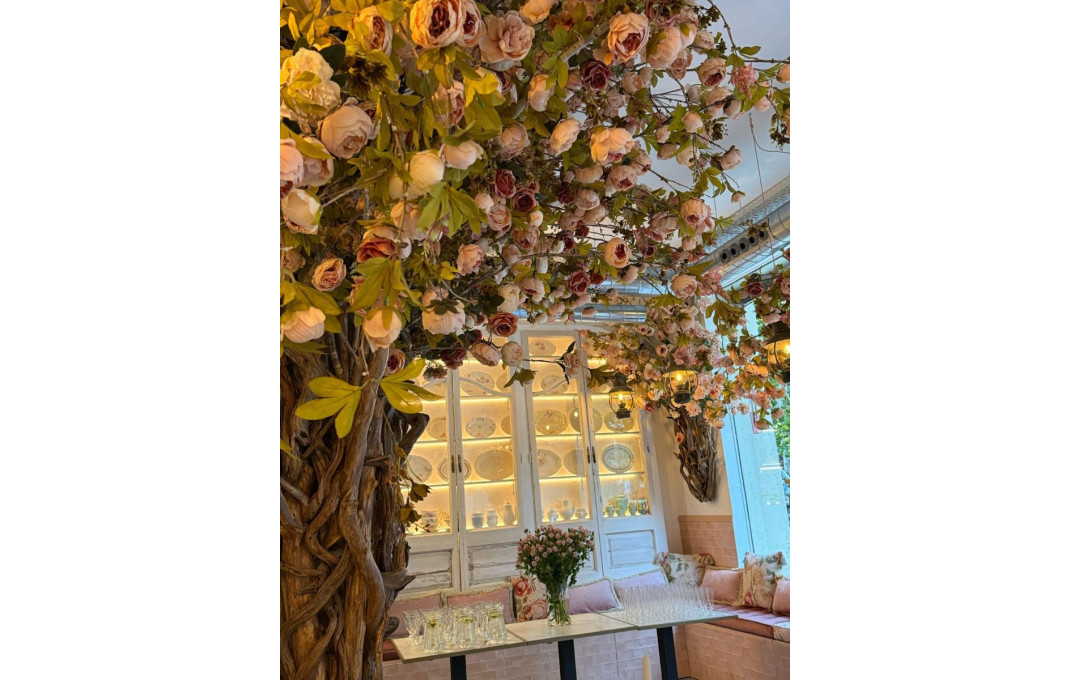 Transfer - Licencia C2 -
Barcelona - Eixample