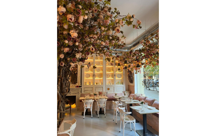 Transfer - Licencia C2 -
Barcelona - Eixample