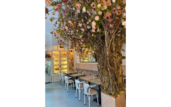 Transfer - Licencia C2 -
Barcelona - Eixample