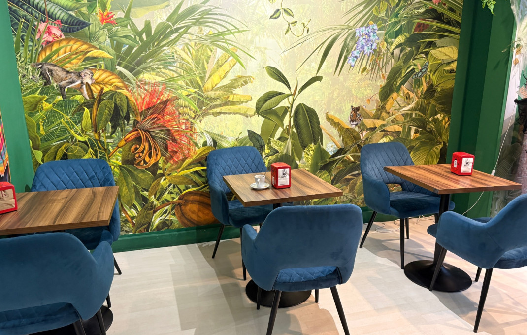 Transfert - Cafeteria -
Sant Feliu - Can nadal