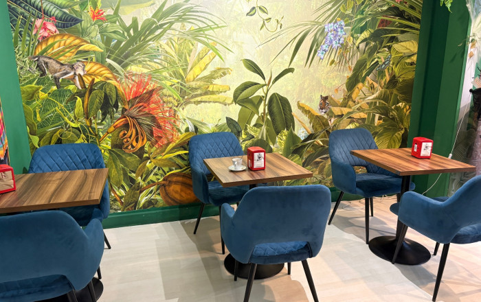 Transfert - Cafeteria -
Sant Feliu - Can nadal