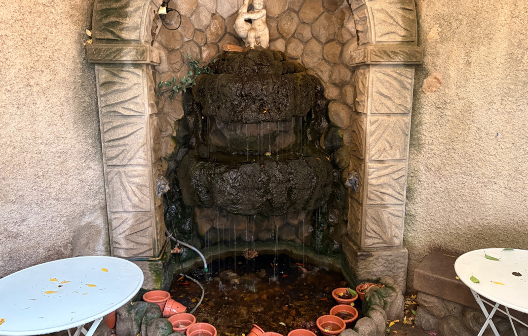 Transfert - Cafeteria -
Sant Feliu - Can nadal