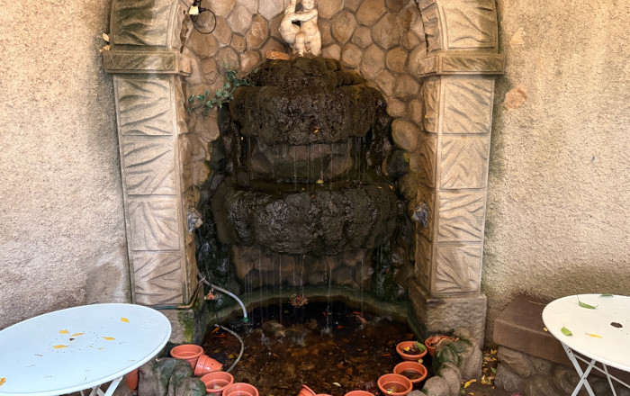 Transfert - Cafeteria -
Sant Feliu - Can nadal