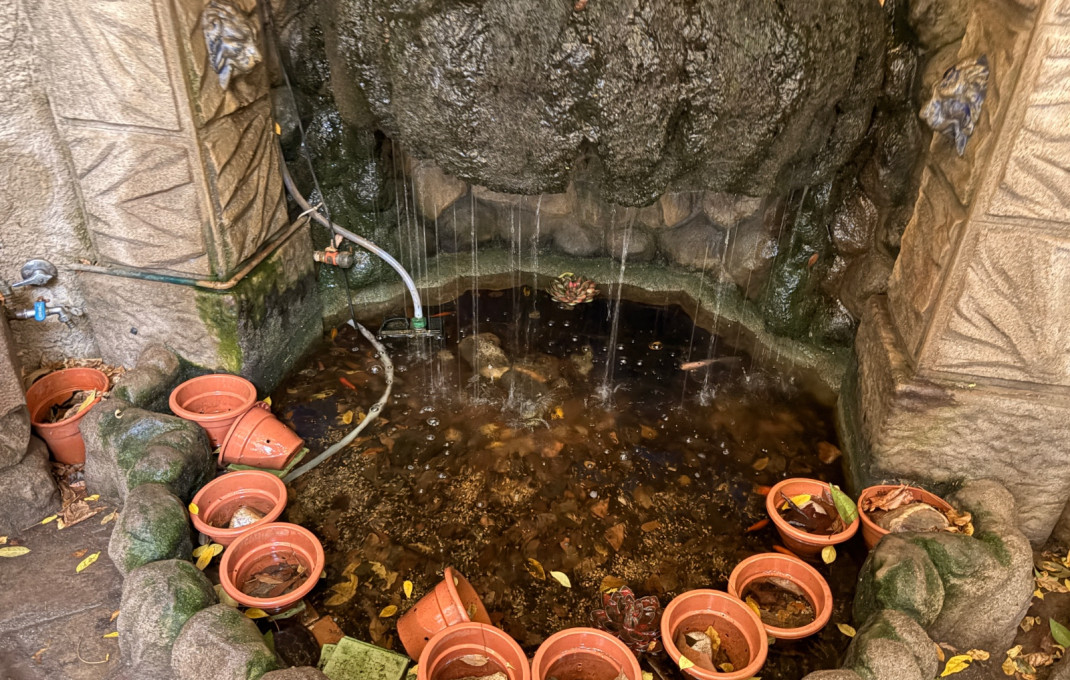 Transfert - Cafeteria -
Sant Feliu - Can nadal