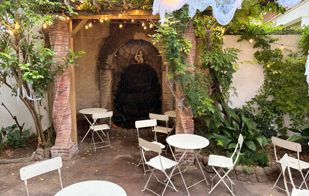 Transfert - Cafeteria -
Sant Feliu - Can nadal