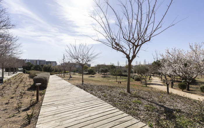 Venta - Bar Restaurante -
Sant Just Desvern