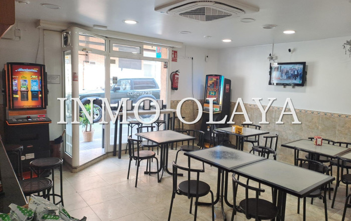 Transfer - Licencia C2 -
Cerdanyola del Vallès