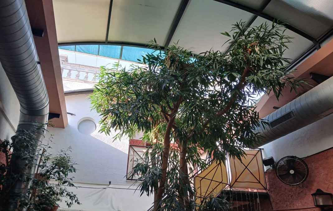 Transfert - Restaurant -
Malgrat de Mar