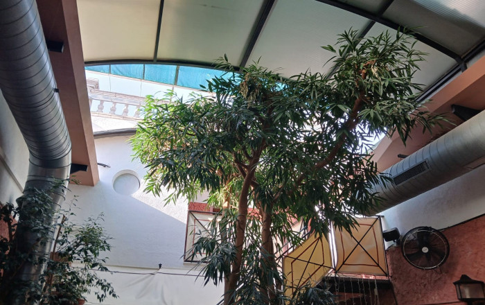 Transfert - Restaurant -
Malgrat de Mar