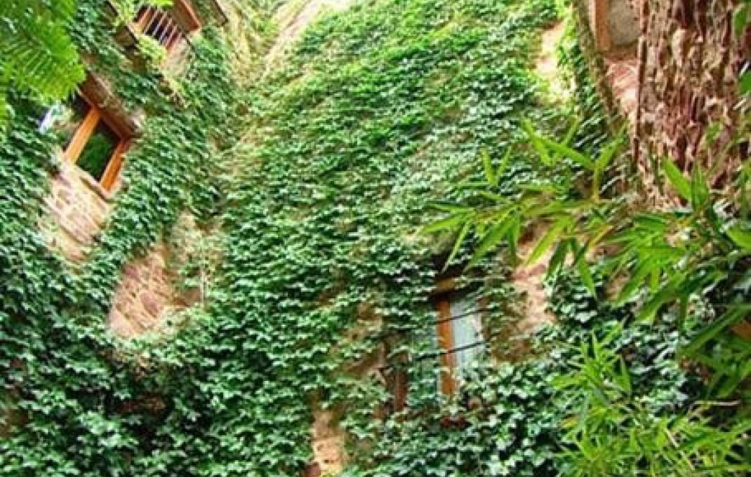 Sale - Hostal -
Castellón - Villafamés