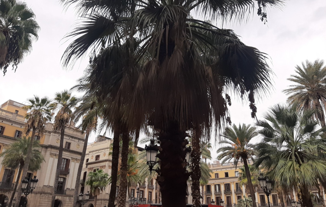 Traspaso - Bar Restaurante -
Barcelona - Gótico