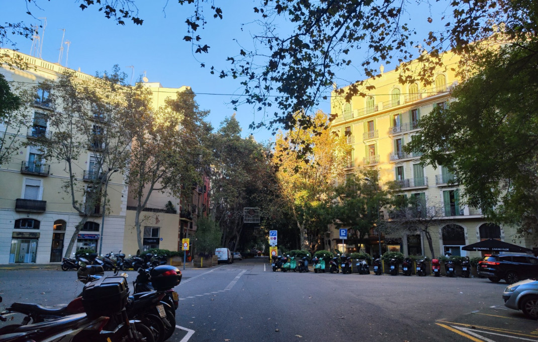 Traspaso - Obradores y/o Panaderias -
Barcelona - Sant Antoni