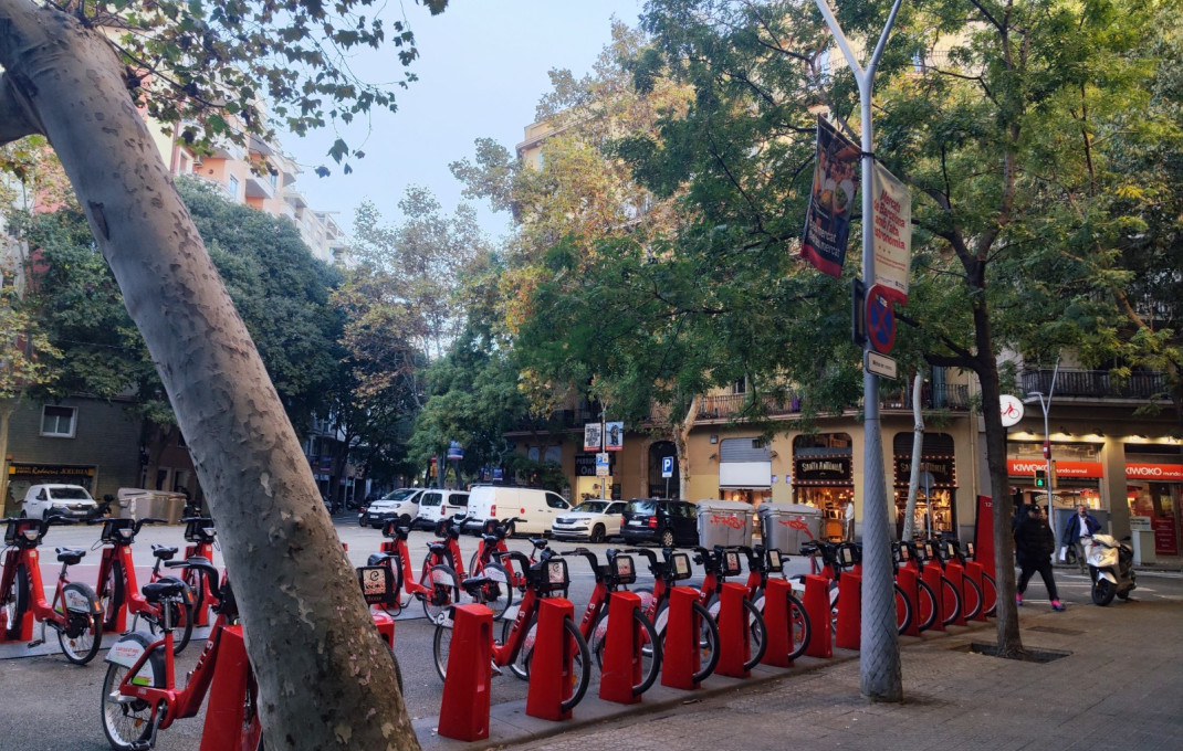 Traspaso - Obradores y/o Panaderias -
Barcelona - Sant Antoni